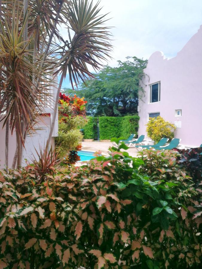 Agua Clara Eco Suites Oranjestad Exterior foto